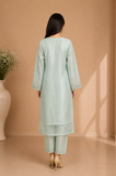 Embroidered Kameez Suit — No. 204