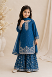 Girls Fancy Embroidered Sharara Set — No. 031