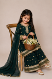 embroided fancy frocks