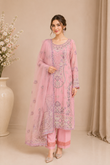 Embroidered Kameez Suit — No. 193