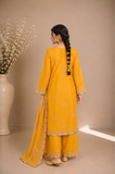Embroidered Kameez Suit — No. 196