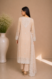 Embroidered Kameez Suit — No. 198