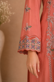 Embroidered Kameez Suit — No. 208