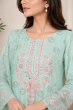 Embroidered Kameez Suit — No. 195