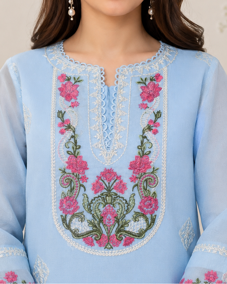 Embroidered Ladies Suit — No. 136