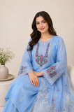 Embroidered Ladies Suit — No. 136
