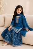 Girls Fancy Embroidered Sharara Set — No. 031