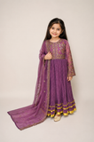 embroided fancy frocks
