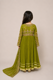 embroided fancy frocks