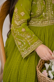 embroided fancy frocks