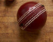 Pro-Shield Alum Tanned Leather Cricket Ball