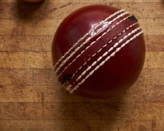 Balle de cricket en cuir tanné à l'alun Pro-Shield